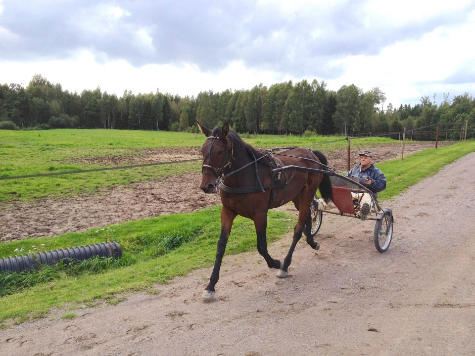 liljan